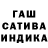 Канабис сатива Vincent Mercurio