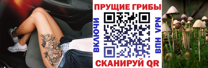 Галлюциногенные грибы Cubensis  Каспийск 